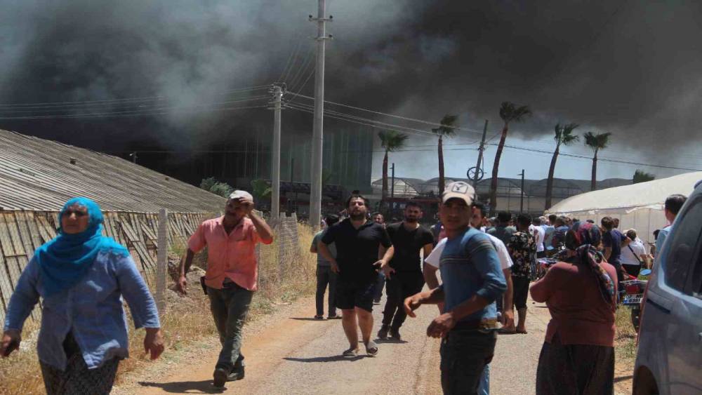 Antalya’da kesme çiçek işleme tesisi alev alev yandı
