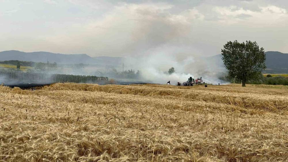 Yenipazar’da ekin tarlarında peş peşe yangın
