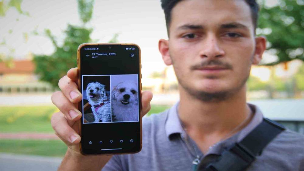 Kaybolan köpeğini bulmak için sokak sokak geziyor
