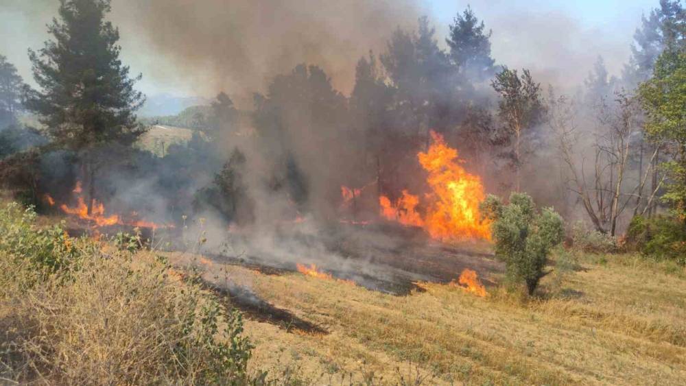 Burdur’da çıkan orman yangınında 3 dekarlık alan yandı
