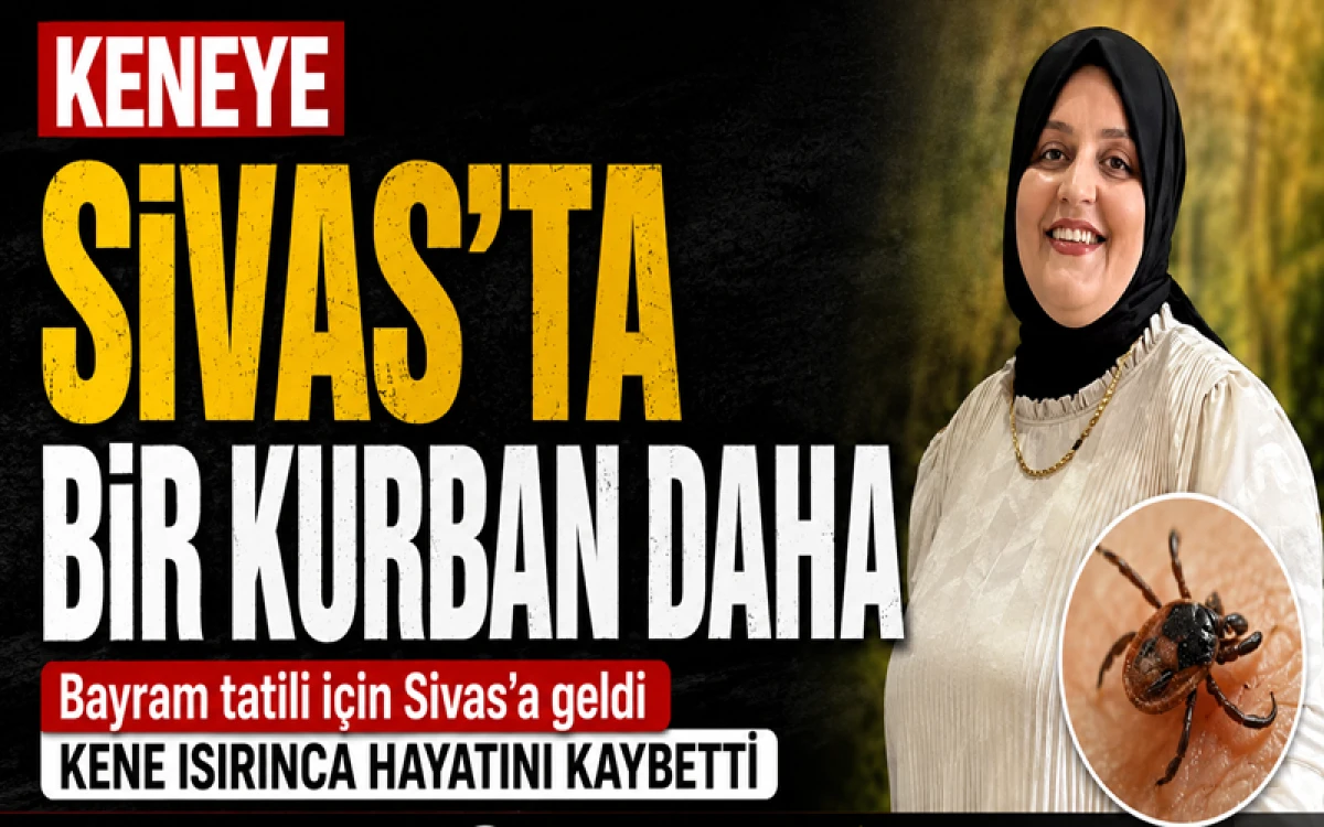 Bayram Tatili İ&ccedil;in Sivas&rsquo;a Geldi Kene Isırınca Hayatını Kaybetti